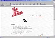 my baseball team