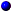 Blupulse.gif (341 bytes)