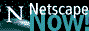 netscape.gif (7197 bytes)