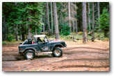 1971 ford bronco on nachees trail