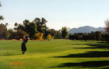 12-20-97MTGolfTourny-Scott-fairway-sm.jpg (9449 bytes)