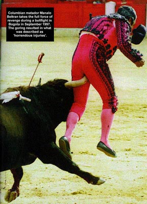 matador bungholio