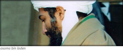 osama bin laden