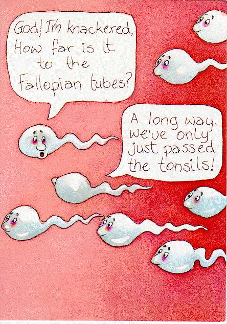 sperm